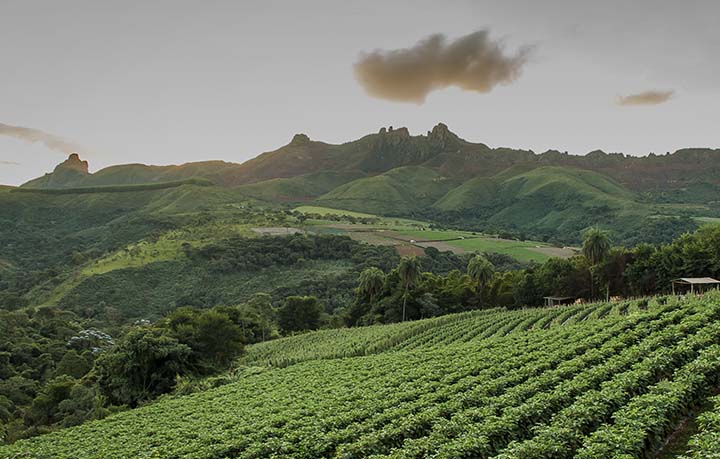 Le parcours de Lavazza vers le développement durable